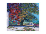 Maple Tree