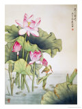 Lotuses and Bird