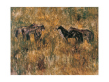 Horses in the Field