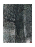 Freezing Morning Mist