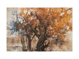 Autumn River