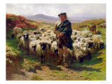 The Highland Shepherd  1859