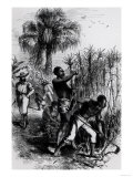 Slaves Working on a Plantation  from Cassell's "History of the United States"