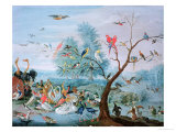 Tropical Birds in a Landscape