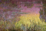 Waterlilies at Sunset  1915-26