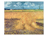 Wheatfield with Sheaves  1888 (Oil on Canvas)