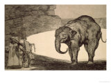 Folly of Beasts  from the Follies Series  or Other Laws for the People  circa 1815-24