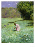 Woodland Meadow  1876