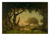 The Edge of the Forest at Fontainebleau  Setting Sun  1850-51
