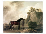 "Cato" and Groom