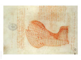 Codex Madrid 1/57-R Study for a Sculpture of a Horse
