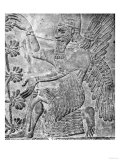 Winged Genie Worshipping the Sacred Tree  from the Palace at Nimrud