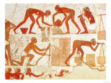 Construction of a Wall  from the Tomb of Rekhmire  Vizier of Tuthmosis III and Amenhotep II