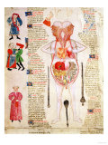 Anatomical Diagram  from "De Arte Phisicali E De Cirurgia" by John Arderne  1412