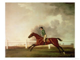 Bay Malton with John Singleton Up  circa 1767