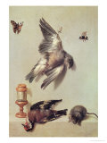 Still Life of Dead Birds and a Mouse  1712