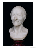 Bust of Voltaire (1694-1778) Without His Wig  1778