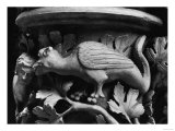 Basilisk  Capital from Cathedral of Notre Dame at Reims (Plaster Cast from Stone)