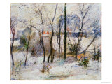 Garden under Snow  1879