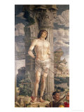 St Sebastian  1481