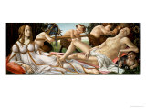 Venus and Mars  circa 1485