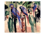 Blue Parrots