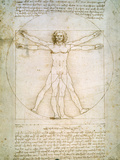 Vitruvian Man  c1492