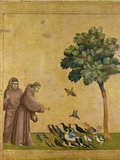 St Francis of Assisi Preaching to the Birds
