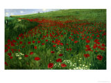The Poppy Field  1896