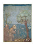 St Francis Preaching to the Birds  1297-99
