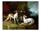 Misse and Turlu  Two Greyhounds of Louis XV