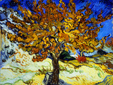 Mulberry Tree  c1889