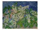 Blossoming Chestnut Branches  c1890