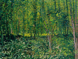 Woods and Undergrowth  c1887