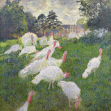 The Turkeys at the Chateau De Rottembourg  Montgeron  1877