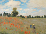 Wild Poppies  Near Argenteuil (Les Coquelicots: Environs D'Argenteuil)  1873
