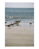 Follow Me  and I will make you fishers of menMatthew 4:19