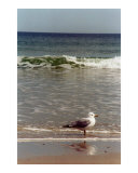 The Lord on high is mightier than the noise of many waters Psalm 93:4