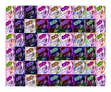 Big Gym Shoe - Study in Colors