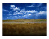 Blue Skies