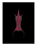Capricorn  December 22-January 19