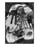 Artist's Hands
