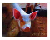 A Pig