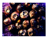 Blueberries with Ladybug