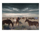 Horses Forever