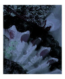 Fan and Garden Herbs Popart