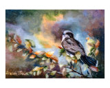 Eastern Kingbird