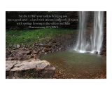 Fertile Valley - Deuteronomy 8:7