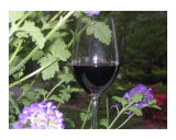 Grape Relaxation