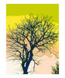 Illustrated Tree 2